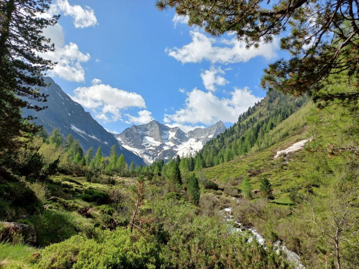 Appartement Summerer Peter Mayrhofen Zewnętrze zdjęcie